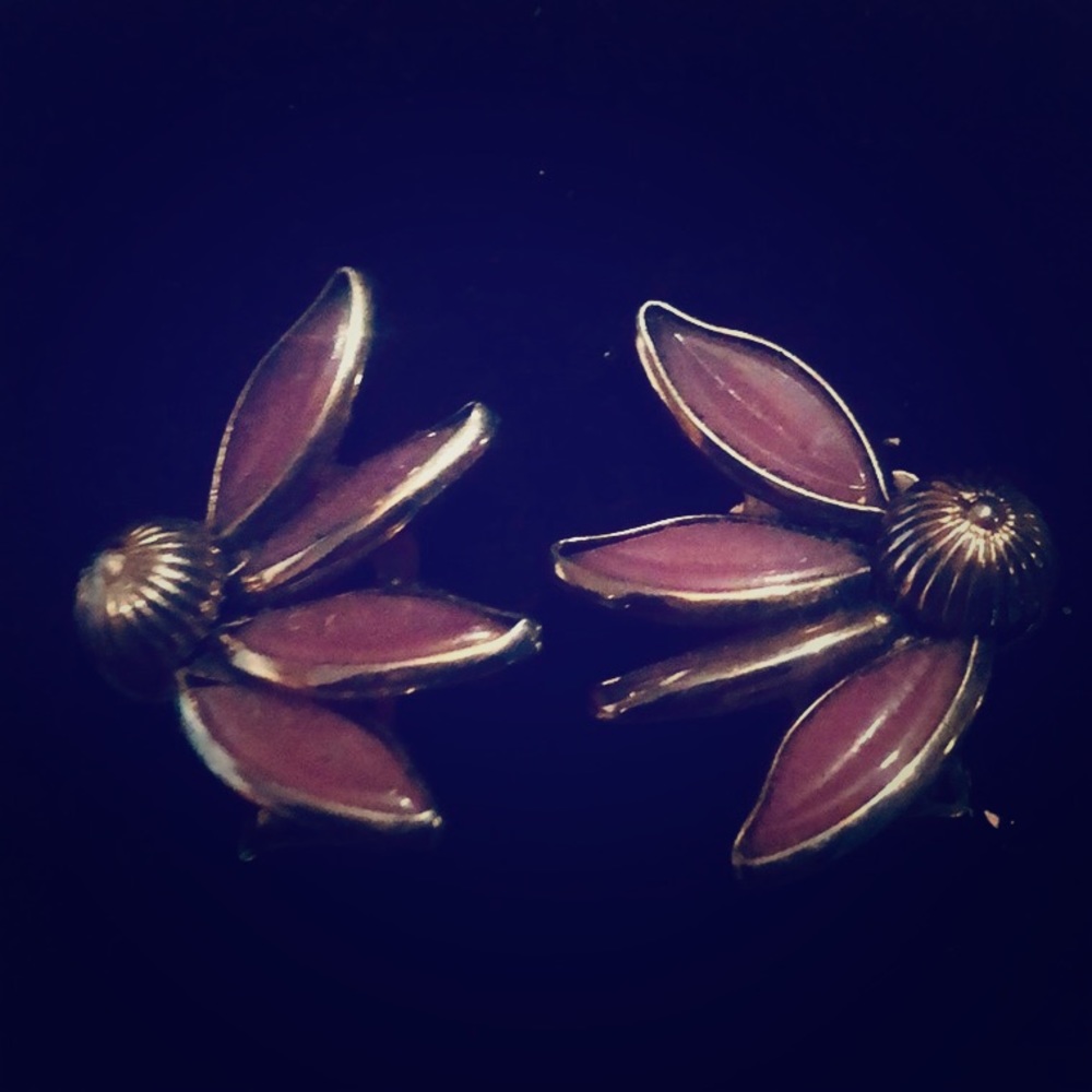 Vintage Cloisonné clip-on earrings.